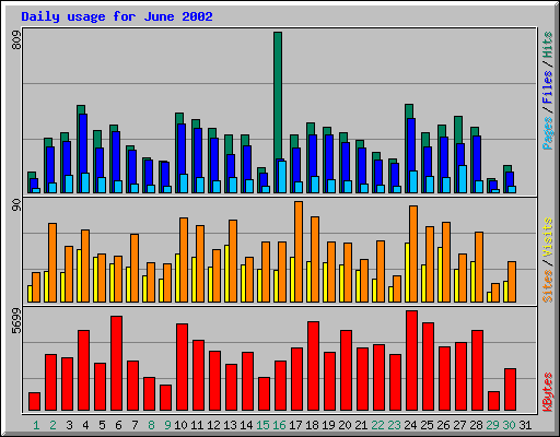 Daily usage for June 2002